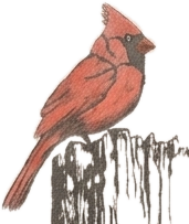 A red cardinal, hand-painted by Em, from her cemetery cross piece